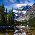 Profile picture of Charlotte Turner