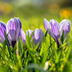 Profile picture of Naina Reddy