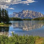 Profile picture of Elisa Martinez