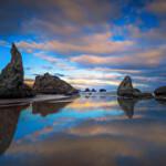 Profile picture of Mustafa Erdogan