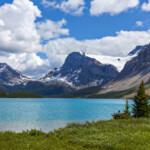 Profile picture of Sophia Adams