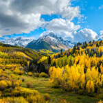 Profile picture of Benjamin Martinez